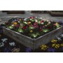 Ghirlanda LED RGB pentru exterior cu spike Ledvance SMART+ Wifi Garden 18 DOT, 4W, 680 lm, 5+8.5m lungime, IP65, policarbonat