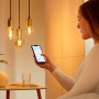 Bec LED inteligent vintage (decorativ) WiZ Connected Filament Gold ST64 ,Wi-Fi, E27, 6.7W (50W), 640 lm, lumina alba (2000-5000K