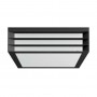 Plafoniera pentru exterior Philips Moonshine, 2xE27, max 2x14W, IP44, 260x260x81mm, Antracit