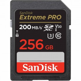 Card de Memorie SDXC SanDisk, 256GB, Clasa 10, Reading speed: 90MB/s