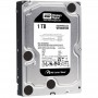 HDD intern WD   Black 1TB , Serial ATA-III 7200 RPM, 64MB