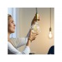 Bec LED inteligent vintage (decorativ) WiZ Connected Filament ClearG200, Wi-Fi, E27, 6.5W (40W), 470 lm, lumina alba (2700-6500K