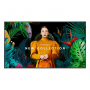 Monitor signage SAMSUNG QM85C, 85", 500nit, 24/7, UHD, E-LED, 8ms, contrast static 4000:1, mătuire 44%, Tizen 7.0, MagicINFO S6,