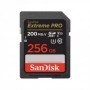 Card de Memorie SDXC SanDisk, 256GB, Clasa 10, Reading speed: 90MB/s