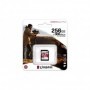 Card de Memorie SDHC Kingston Canvas React Plus 256Gb, Class 10