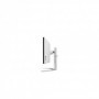 Monitor LG 49" 49WQ95C-W.AEU