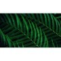 Monitor Philips 27" 27B2G5500/00, Diagonal (inch): 27, Diagonal (cm): 69, Aspect ratio: 16:9, Panel: IPS, Resolution: 2560x1440,