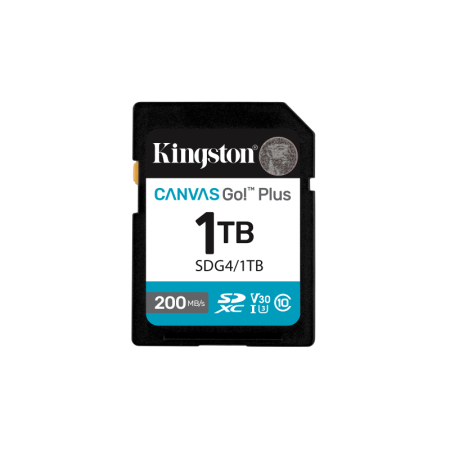 Card de Memorie SD Kingston Canvas GO Plus CL 10