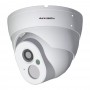 Camere Supraveghere Camera IP Dome Full HD 1080P PoE Aevision AE-201J861HA-0104-VP AEVISION