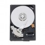 WD Blue HDD Desktop (3.5", 1TB, 64MB, SATA III-600)