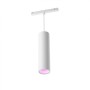 Pendul LED RGB Philips Hue Perifo, Bluetooth, control vocal, 24V, 5.2W, 490 lm, lumina alba si color (2000-6500K), IP20, 28.8x17
