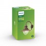 Aplica tip felinar pentru exterior Philips Raindrop, 1xE27, max 60W, IP44, 381x300x428mm, Bronz