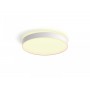 Plafoniera LED Philips Hue Enrave, Bluetooth, 48W, 4750 lm, lumina alba (2200-6500K), IP20, 55.1cm, Alb, Intrerupator cu variato