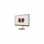 Monitor Acer 24" UM.FC1EE.001