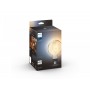 Bec LED inteligent vintage (decorativ) Philips Hue Filament Glob G125, Bluetooth, E27, 7W (40W), 550 lm, lumina alba (2200-4500K