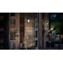 Aplica LED pentru exterior cu senzor de miscare Philips Capricorn, 6W (47W), 600 lm, lumina calda (2700K), IP44, 78x214mm, Antra